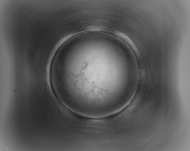 X0000101961427200807251145