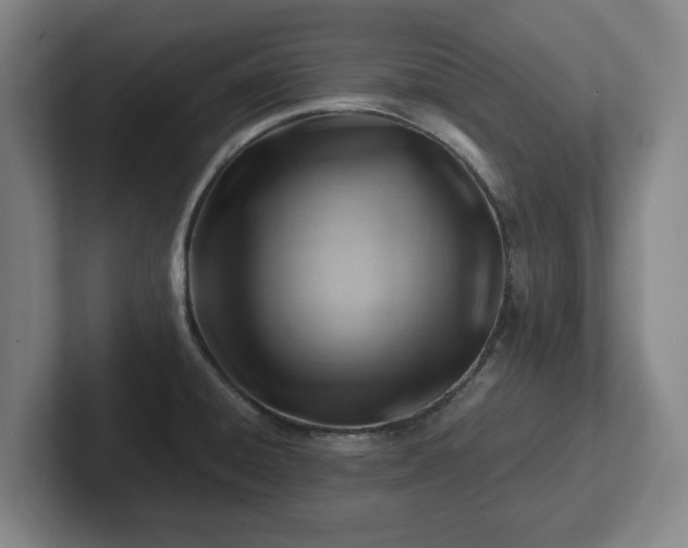 X0000101961428200807251145