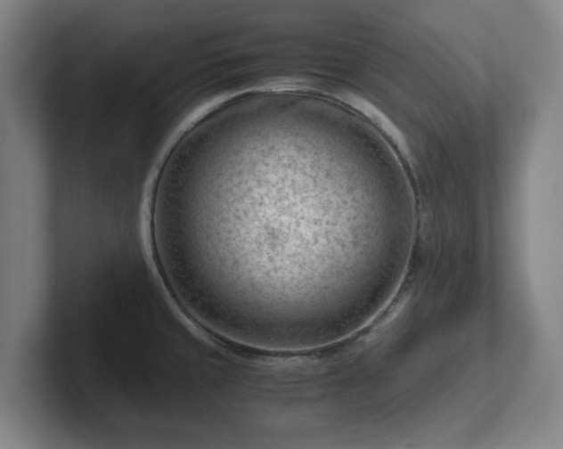 X0000101961429200807251145