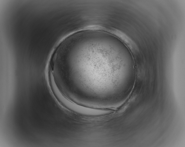 X0000101961430200807251145