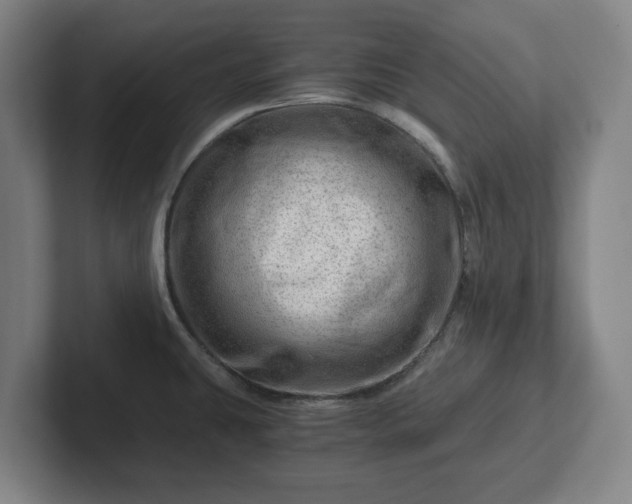 X0000101961431200807251145