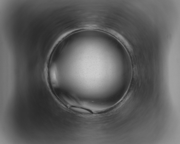 X0000101961432200807251145