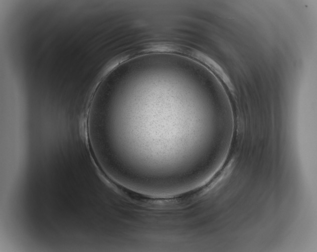 X0000101961433200807251145