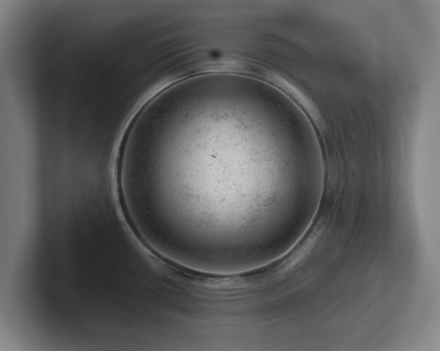 X0000101961434200807251146