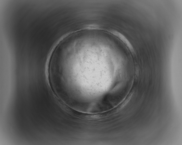 X0000101961435200807251146