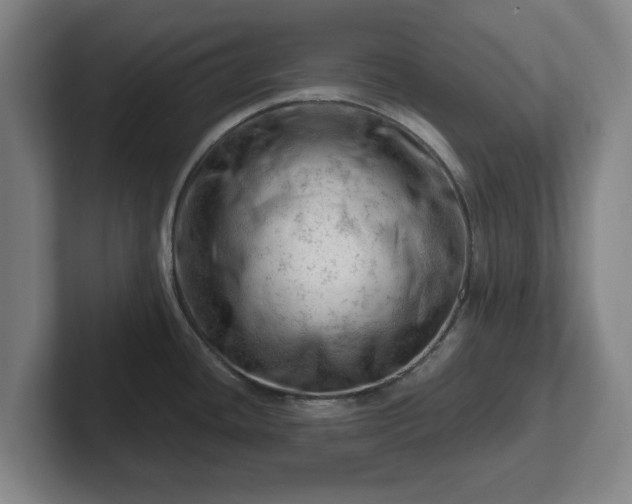 X0000101961436200807251146