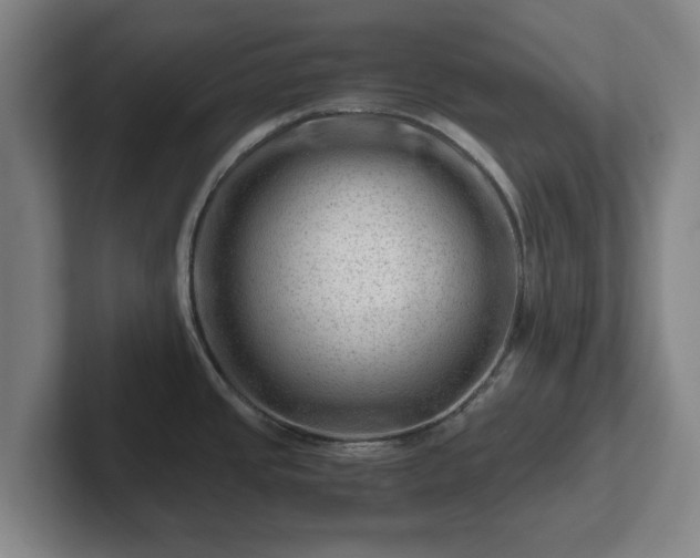 X0000101961437200807251146