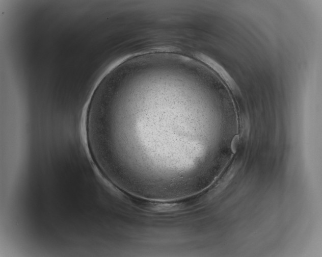 X0000101961439200807251146