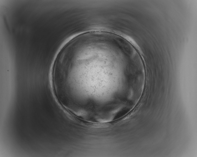 X0000101961440200807251146