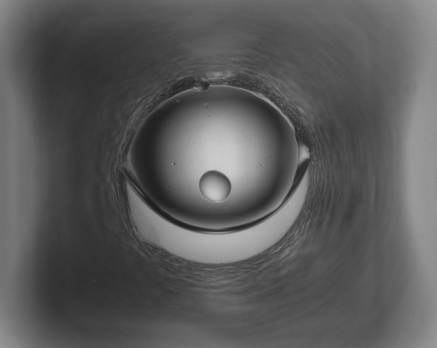 X0000101961441200807251145