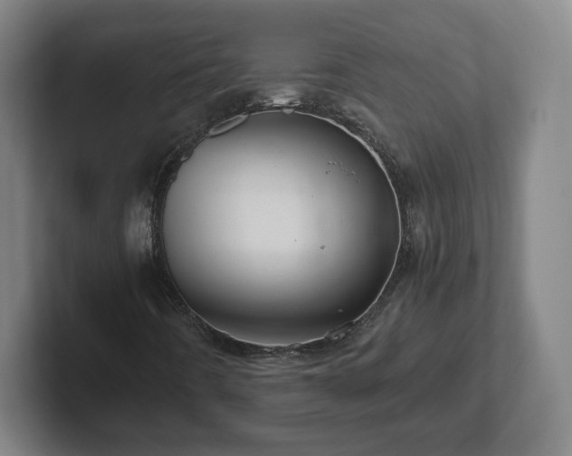 X0000101961442200807251145