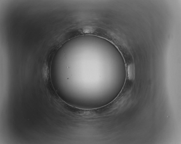 X0000101961443200807251145