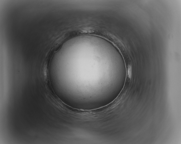 X0000101961444200807251145