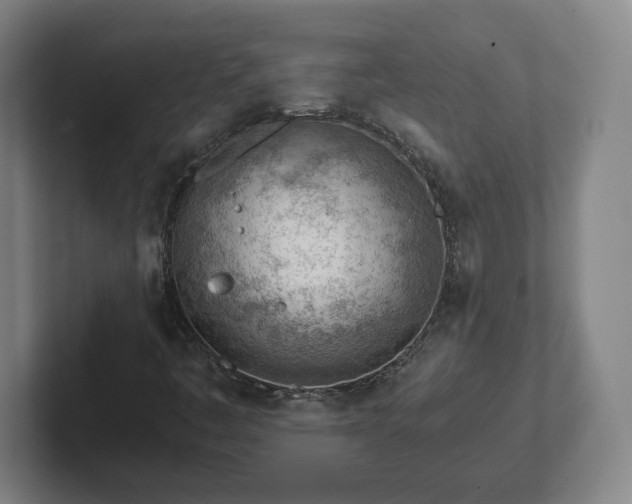 X0000101961445200807251145