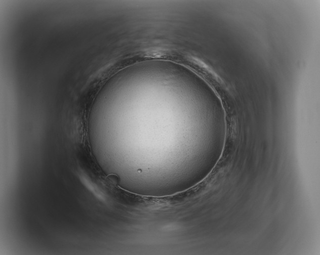 X0000101961446200807251145