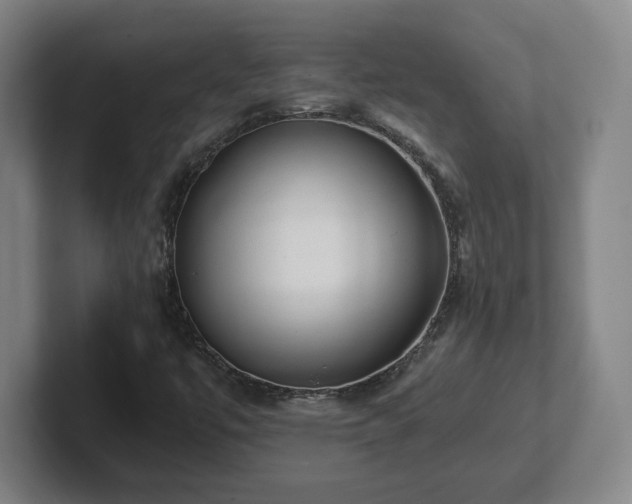 X0000101961447200807251145