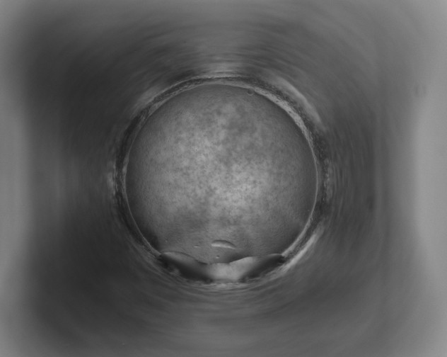 X0000101961449200807251145