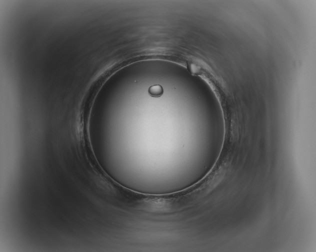 X0000101961450200807251145