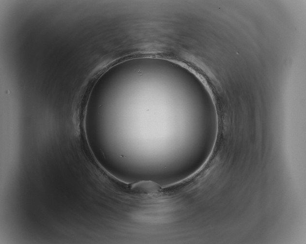 X0000101961451200807251145