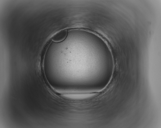 X0000101961452200807251145