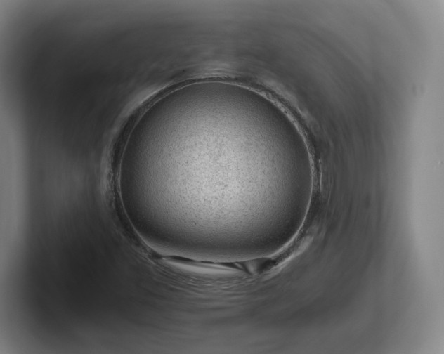 X0000101961453200807251145