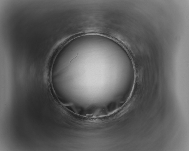 X0000101961454200807251145