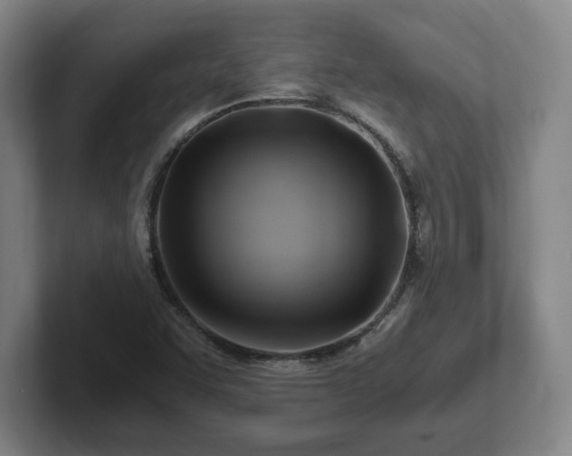 X0000101961455200807251145