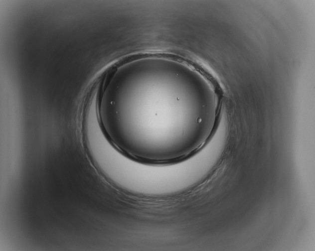 X0000101961456200807251145