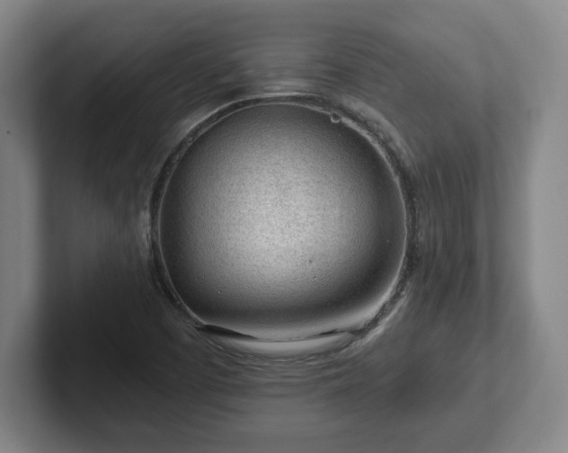 X0000101961457200807251145