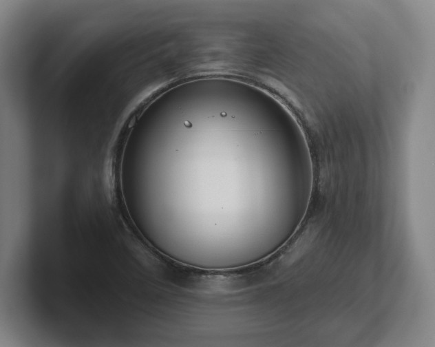 X0000101961458200807251145