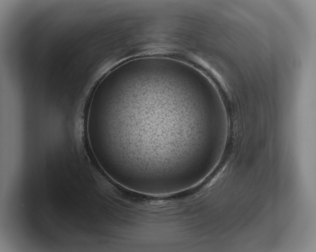 X0000101961459200807251145