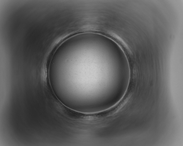 X0000101961461200807251145