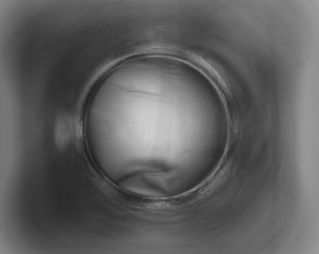 X0000101961462200807251145