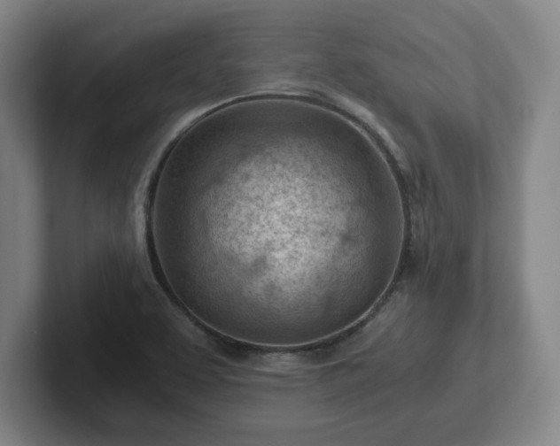 X0000101961463200807251145