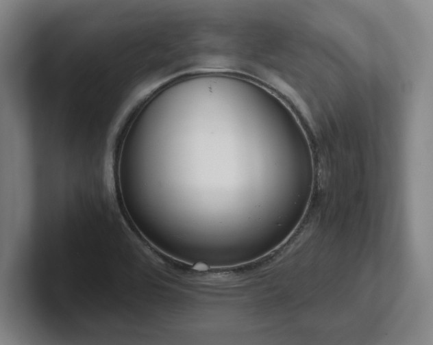 X0000101961464200807251145