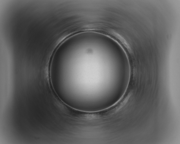 X0000101961465200807251145