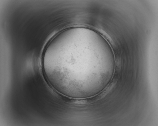 X0000101961466200807251145