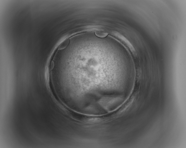 X0000101961467200807251145