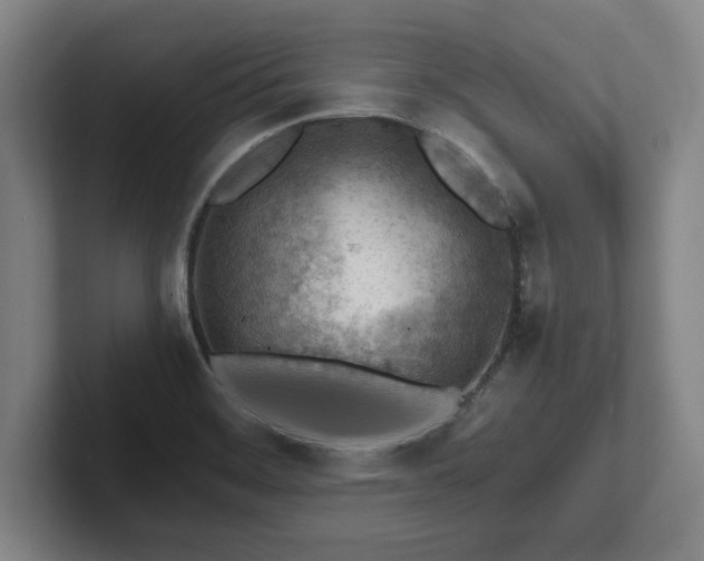 X0000101961468200807251145