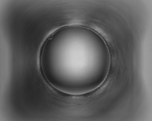 X0000101961469200807251145