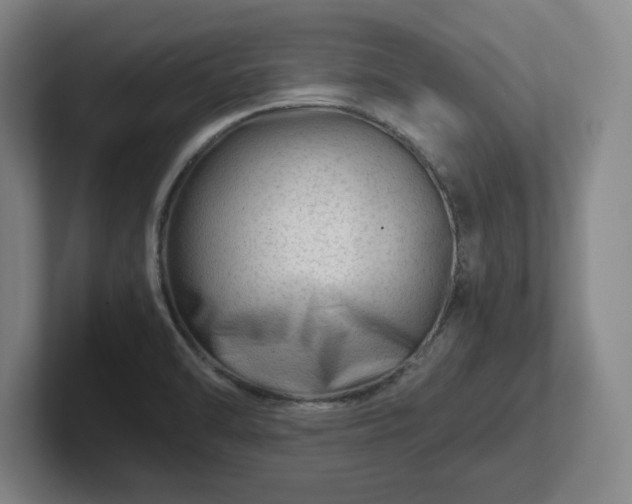 X0000101961470200807251145