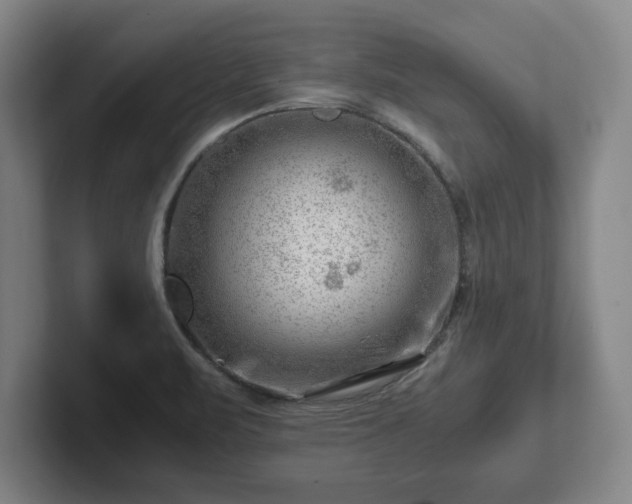 X0000101961471200807251145