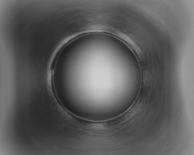 X0000101961472200807251145