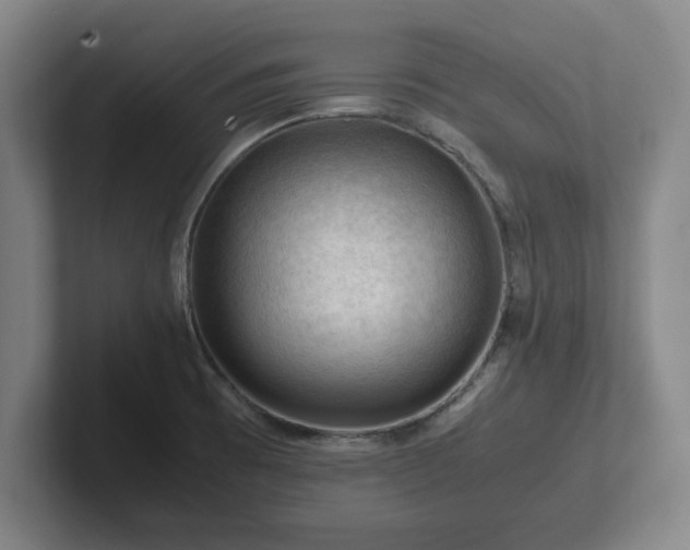 X0000101961473200807251145