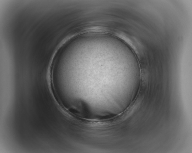 X0000101961474200807251145