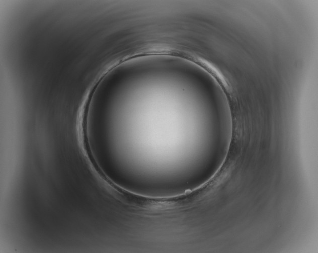 X0000101961475200807251145