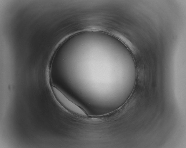 X0000101961476200807251145