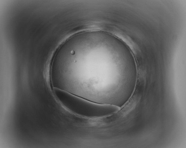 X0000101961477200807251144