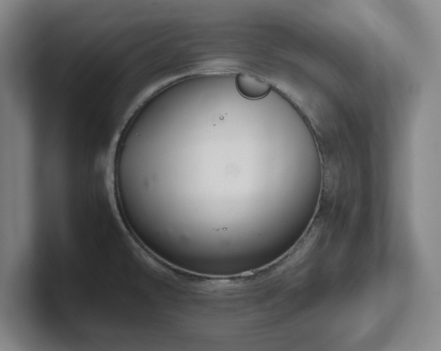 X0000101961478200807251144