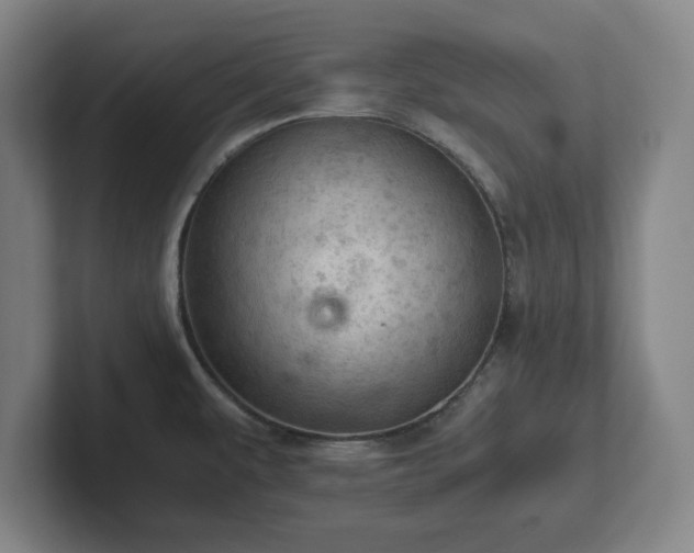 X0000101961479200807251144